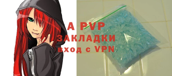 ГАЛЛЮЦИНОГЕННЫЕ ГРИБЫ Сосновый Бор