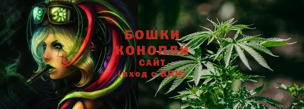 метадон Белокуриха