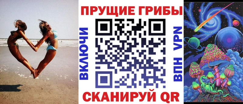 OMG маркетплейс Будённовск Псилоцибиновые грибы прущие грибы